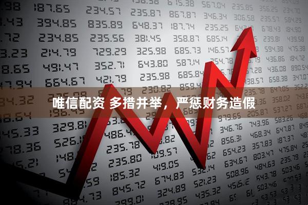 唯信配资 多措并举，严惩财务造假