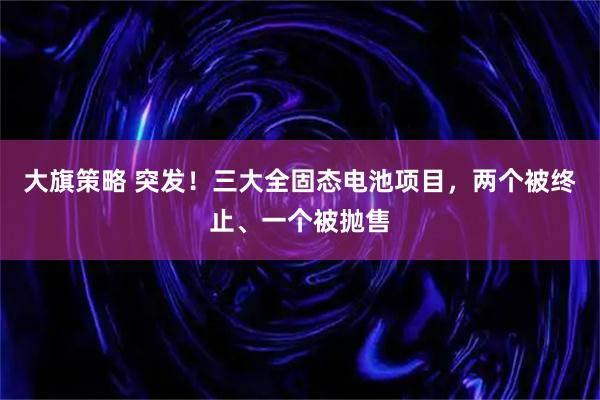 大旗策略 突发！三大全固态电池项目，两个被终止、一个被抛售