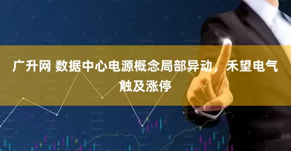 广升网 数据中心电源概念局部异动，禾望电气触及涨停